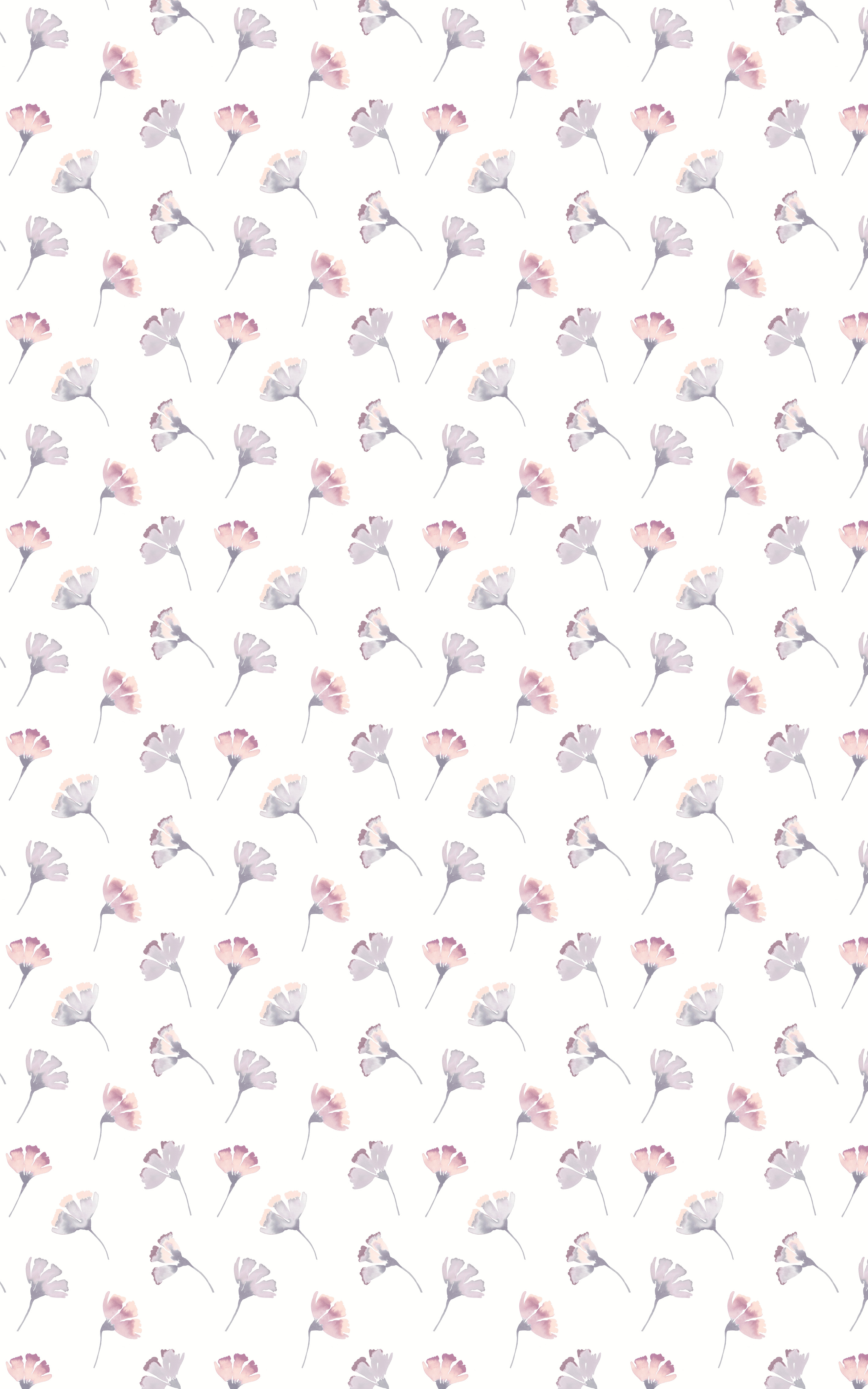 Akita Rise 2.0MT Roller